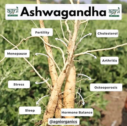 Savaana Organics Ashwagandha Root Powder | Pure & Natural | Immunity & Stress Support | Ayurvedic Herbal Supplement – 200g