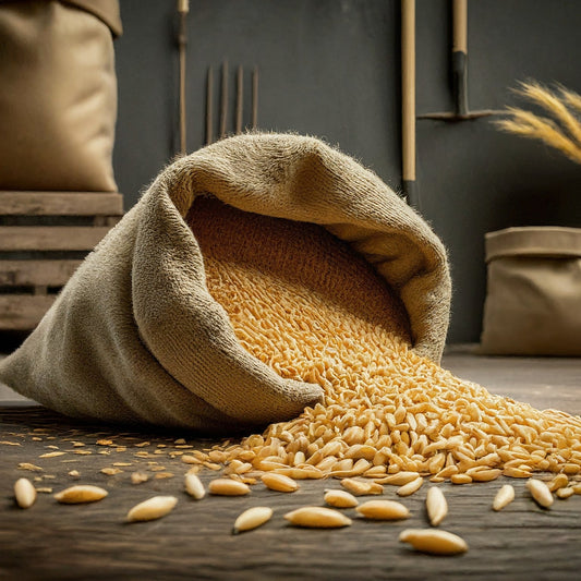 Premium Organic Wheat Grains