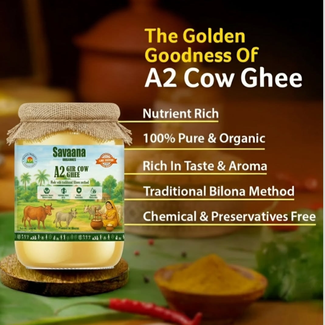 Savaana Organics A2 Gir Cow Ghee (500 ML) Traditional Bilona Method A2 Gir Cow Ghee | Grassfed, Pure and Healthy Desi Cow Ghee (Glass Bottle - 500 ML)