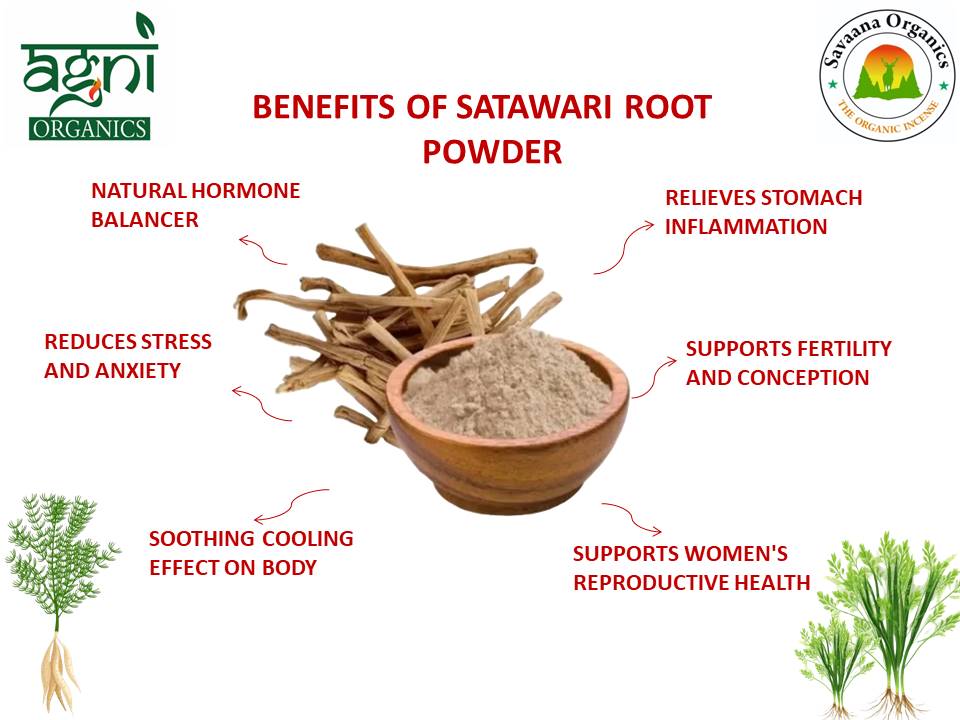 Savaana Organics Shatavari (Satawar) Powder |Pure & Natural | Women’s Wellness & Hormonal Balance | Ayurvedic Herbal Supplement for Vitality, Strength & Reproductive Health – 200g