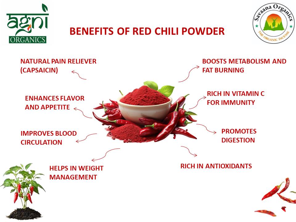 Savaana Organics Red Chilli Powder  Pure & Natural | No Added Colours or Preservatives | Strong Aroma & Spicy Taste | Premium Lal Mirch Powder for Everyday Indian Cooking & Seasoning | 500 G