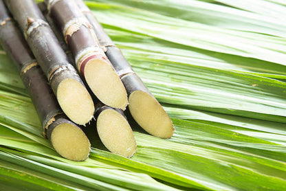 Organic Sugarcane Vinegar