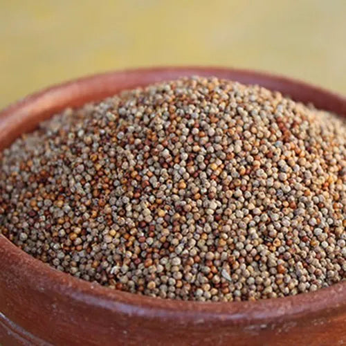 Organic Pearl Millet